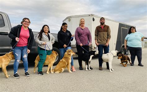 city of bakersfield animal care center